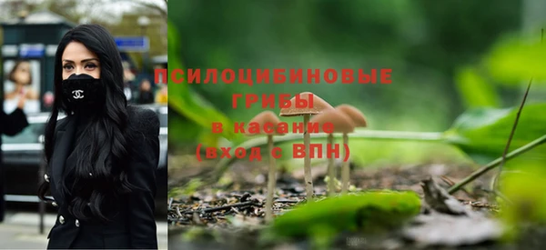 дурь Баксан